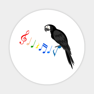 Tropical Parrot with Colorful Musical Notes Magnet